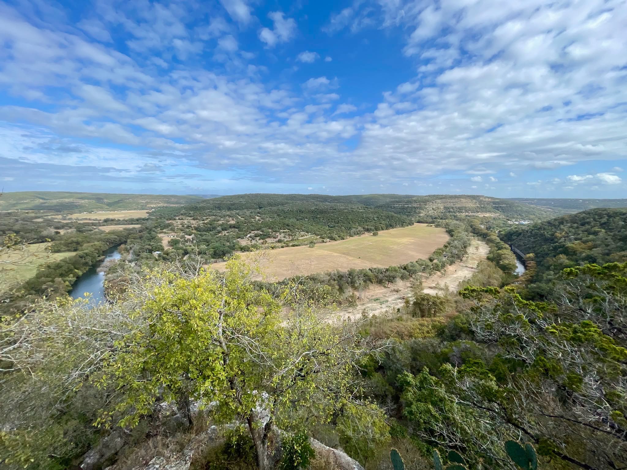 Morton Preserve Reopens, Reservations Required to Visit Golden-Cheeked Warbler Habitat